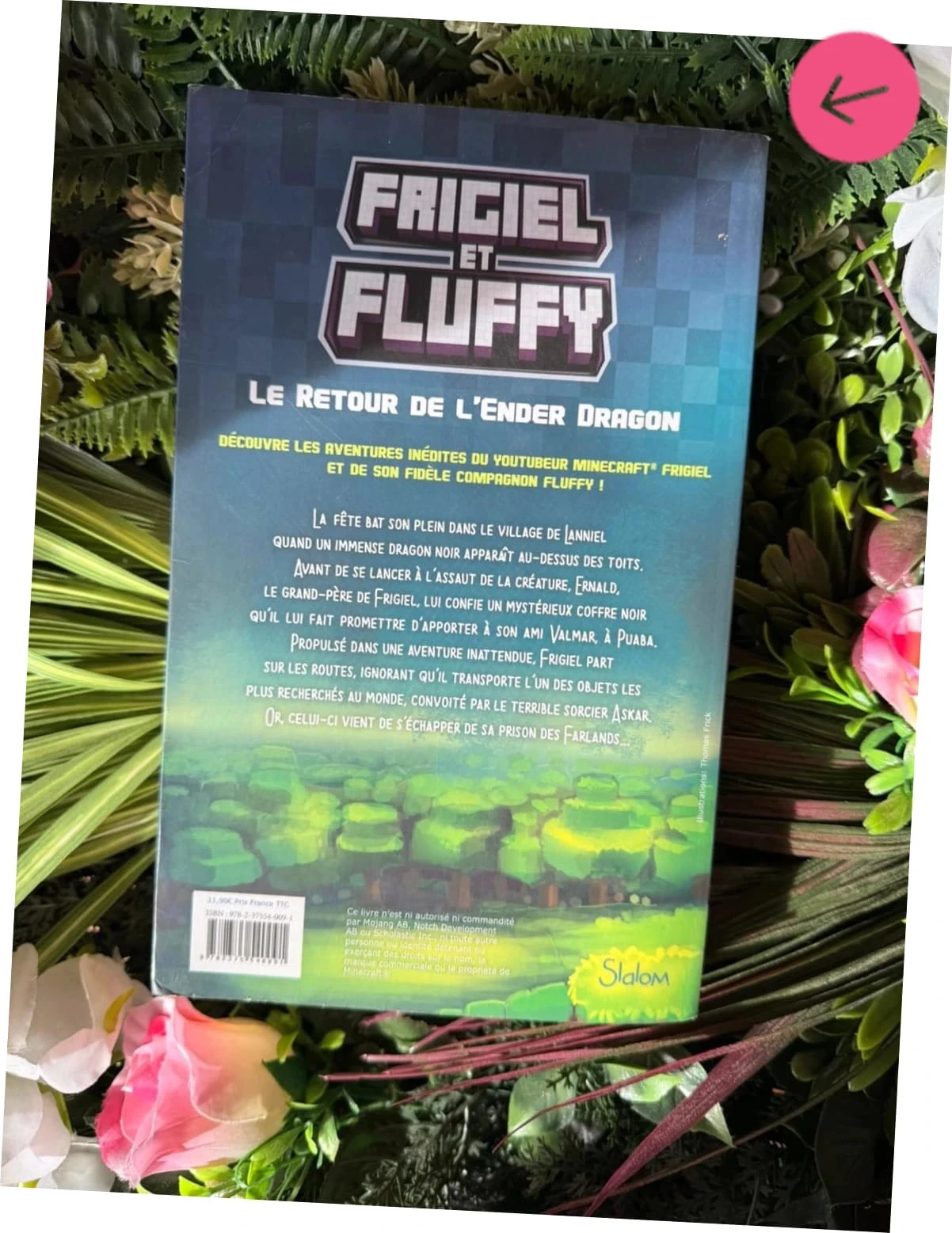 Frigiel book and fluffy the return of the Ender dragon – photo 2